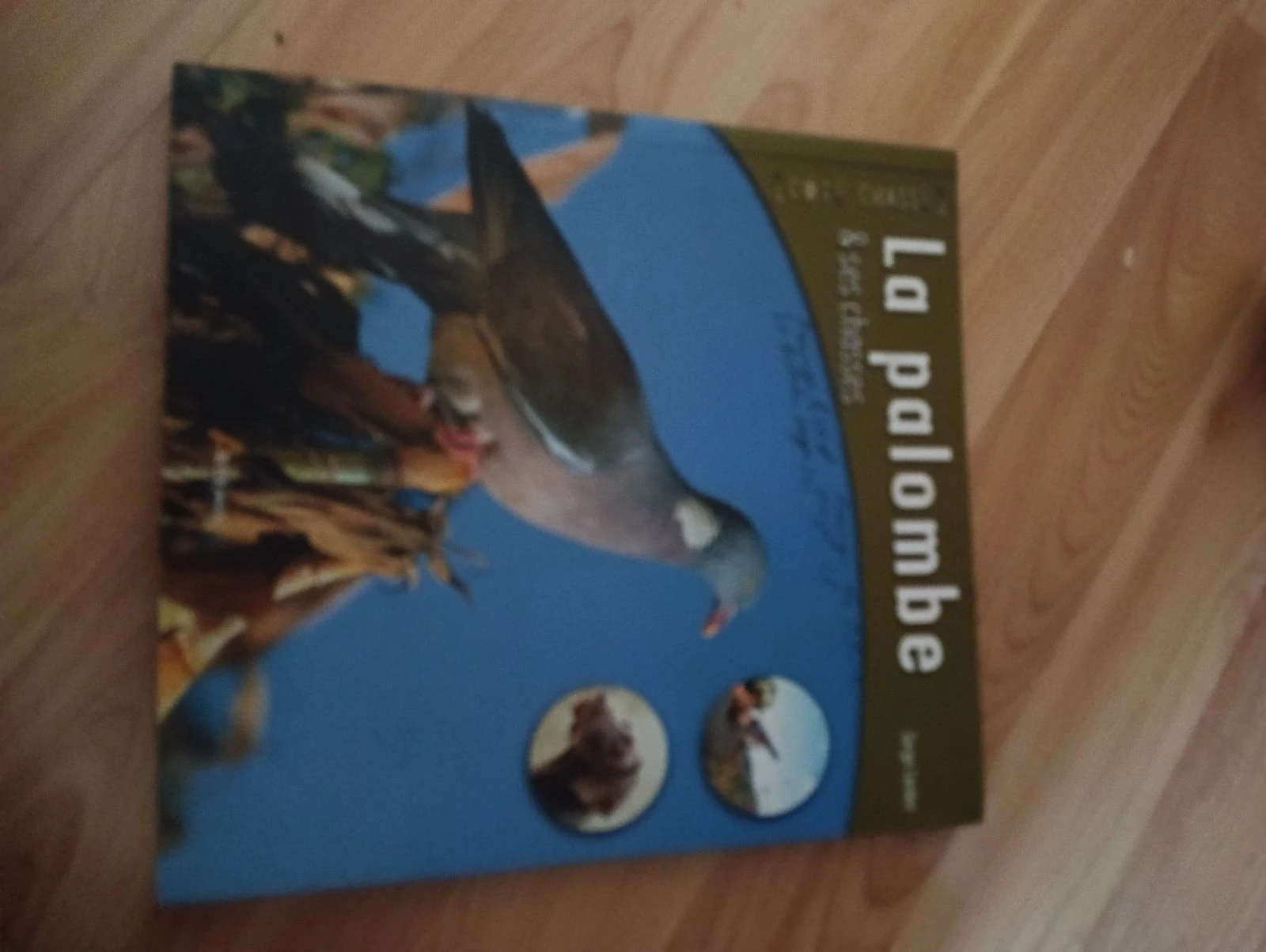Livre la palombe 